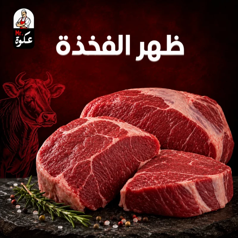 ظهر الفخدة